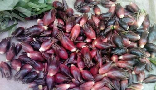 滋養肌膚的好食物，推薦女人常吃，補血調經、鎮咳祛痰、消腫解毒