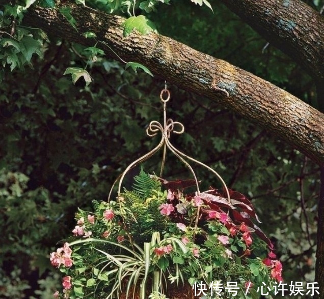 任何容器都能用来做花盆，请收好这30种美丽的花盆搭配设计