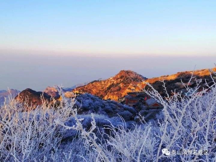 登泰山之巅，观云雾升腾铺陈成海，看云层姿态万千仿若画卷