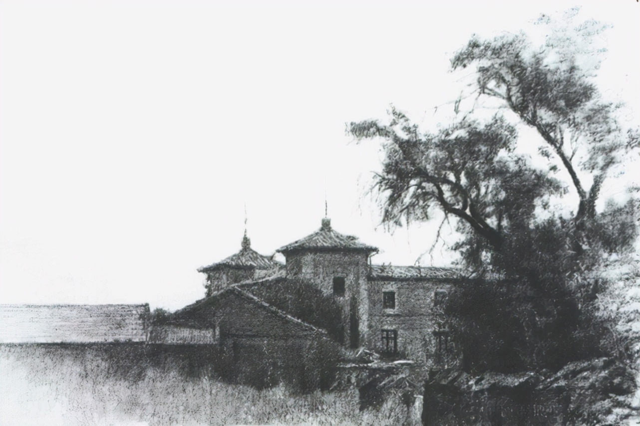 素描&唯美写实的素描,西班牙艺术家Miguel Angel Oyarbid笔下的树