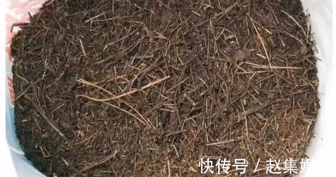 土壤|养花不用买土,用这几样东西掺一块儿,种什么花草都旺