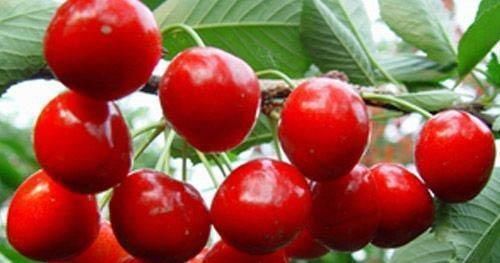 皮尔斯|低卡减脂的水果,让你边吃边瘦下来,你吃对了吗?