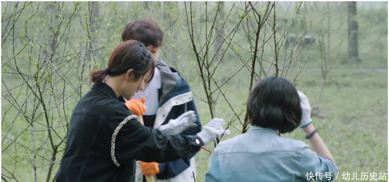 向往的生活|《向往的生活》杨紫来就“炸”了,4个热搜,全网播放量第一