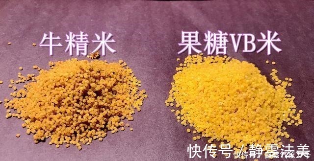 都说酒米钓鱼好用,但学会搭配以后,这3种选择会上鱼更多