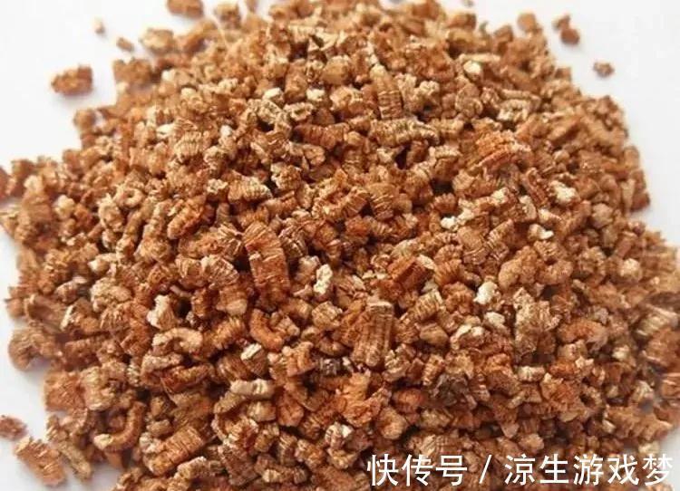 养花的你,知道这种小石头有多神奇吗