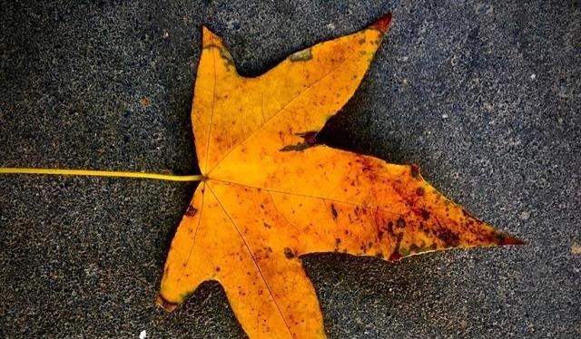 做人|做人应知行止,知进退