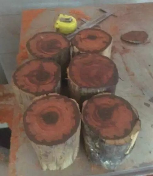 紫檀木料|分享小叶紫檀笔筒掏空技术