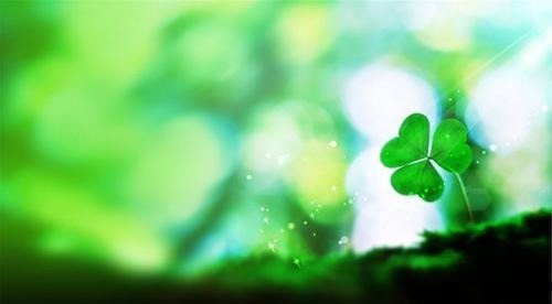 孝顺|出生在几点钟的孩子,智商高,长大后孝顺又有出息,光宗耀祖