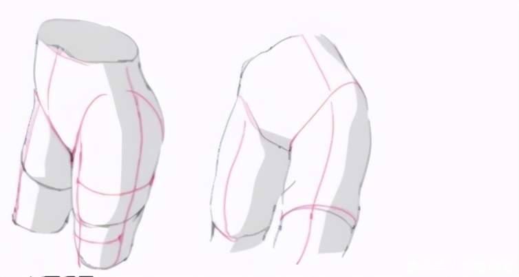 体积感|人体比例不会?膝盖画不好?教你大腿体积感的画法教程!