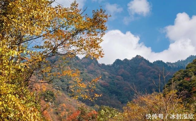 秘境|媲美光雾山！平武这条沟，藏着一个惊艳的彩林秘境！