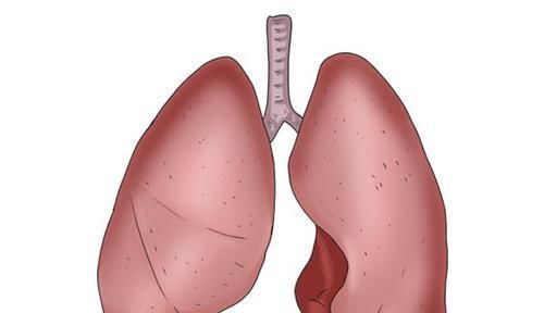  糟糕|肺部问题一查就很糟糕却不知身体早就给出“警告”，多数被忽略