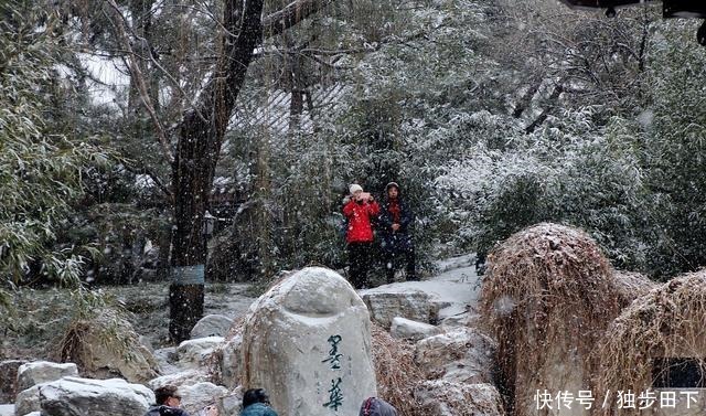 月儿|诗歌《亏欠》诗人月儿