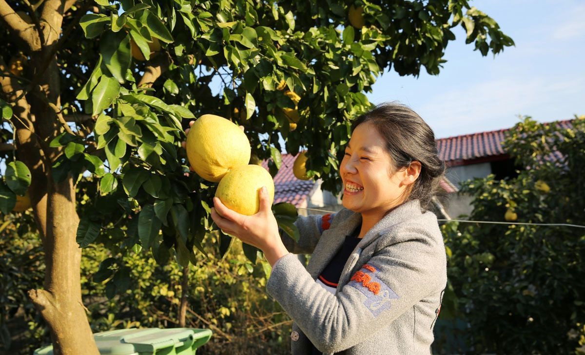 挑剔|85后美女厨娘,选食材很挑剔,小镇上的人都爱吃她做的家常菜