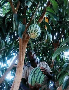 |搞笑GIF：这样的妹子 一看就不是省油的灯