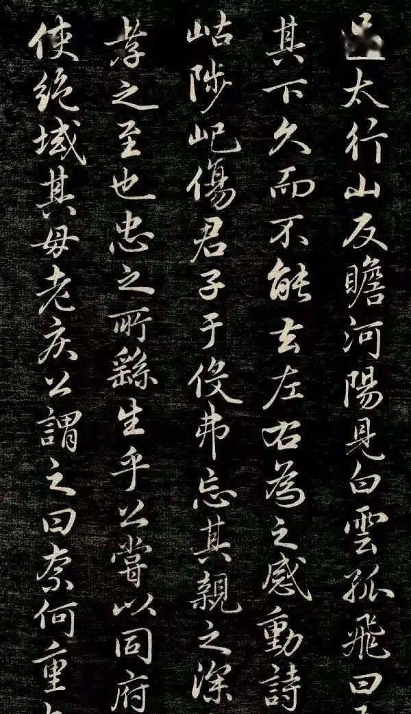 故里|看点丨狄仁杰故里