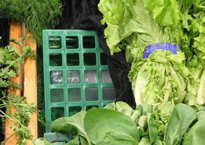 生鲜|生鲜运营降低损耗的三个关注点