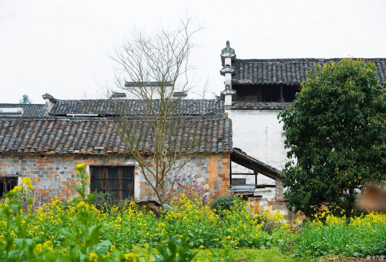 在安徽黟县旅行，西递、屏山、桃花源这三个地方，很值得看一看