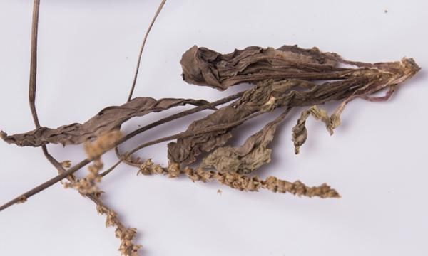 维生素p|激活胰岛素的优秀食物，不是苦瓜，坚持泡水喝，血糖回归正常值