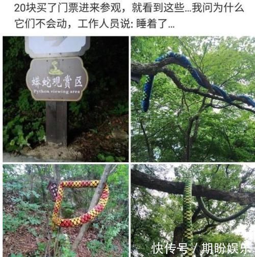 单词|“再也不想网购了迟早笑死在客服聊天里”哈哈哈哈