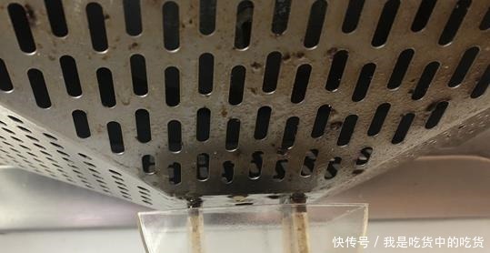 叶子油|什么残茶水、蚯蚓粪都不如它，往盆里埋10滴，叶子油亮开花旺！