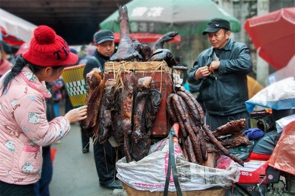 年味|观山湖区文化馆线上春节系列活动圆满结束