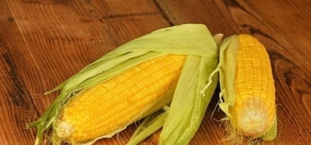 妇科病|有子宫肌瘤的女性，不妨多吃点“它”，帮你清宫毒，远离妇科病