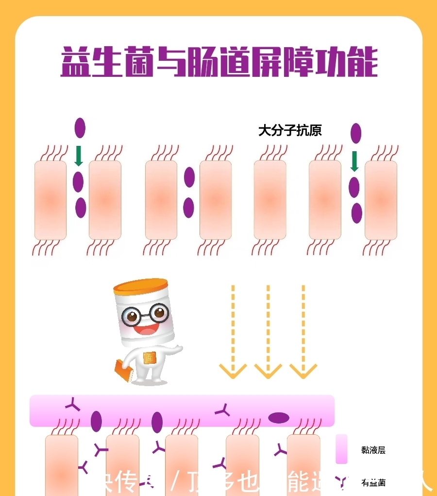 宝宝过敏吃益生菌有用吗？选对菌株和剂型很关键！!