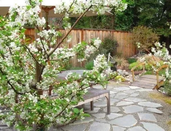 我们心中的小院, 每晚睡前都幻想着它的模样