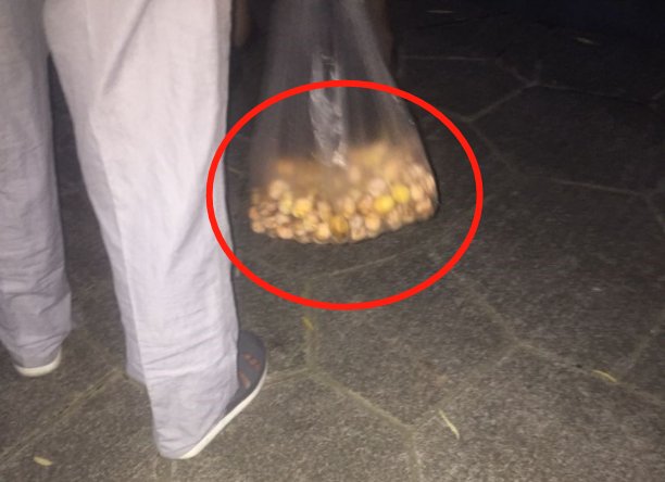 白果|紧急提醒！浙江街头又有人干这事，2岁男童曾因此丧命