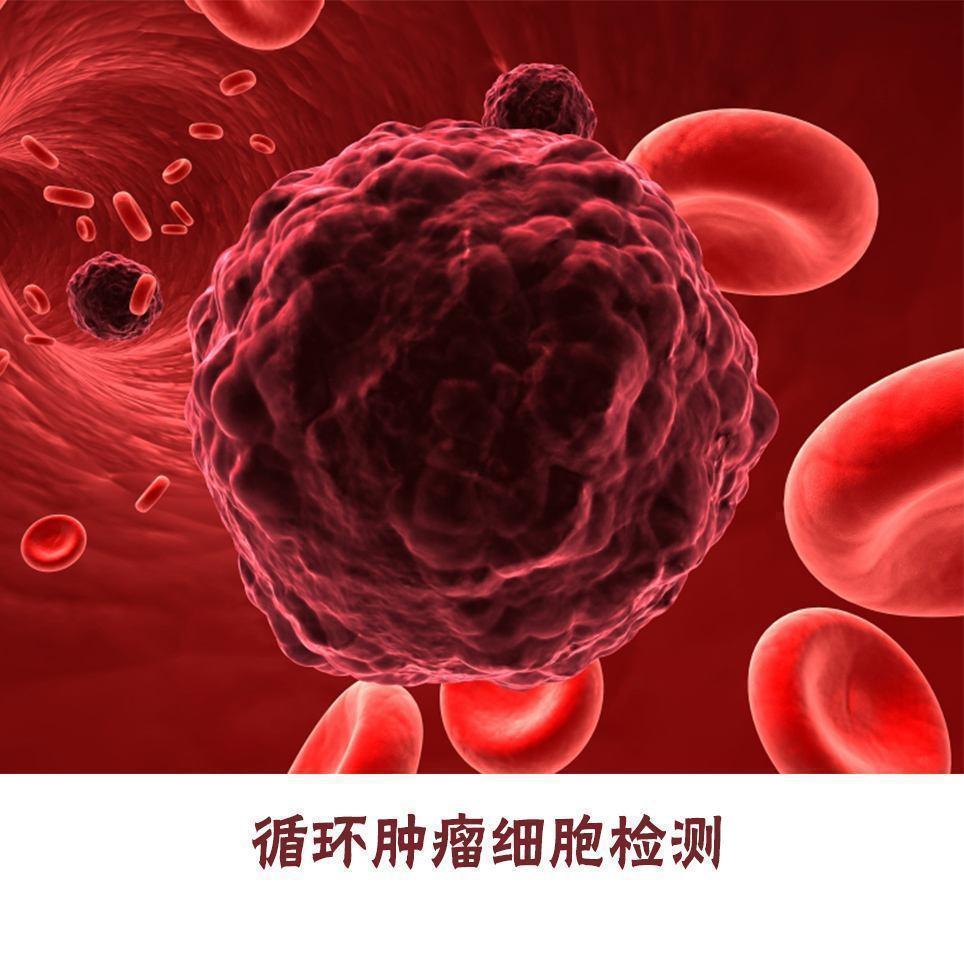 切除|手术已经把肿瘤切掉了,为什么还要做放化疗为什么还会复发