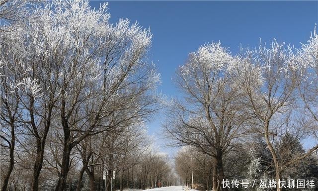 满山|如梦如画！通渭华家岭满山雾凇醉游人