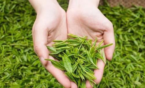 常吃|血管堵了不要怕，常吃这几样食物，助你疏通血管，血栓不来扰