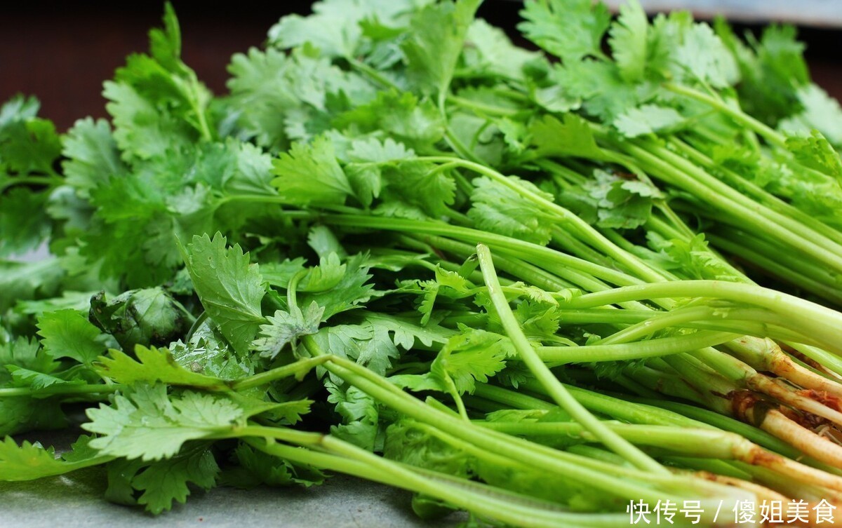 香菜|香菜别再放冰箱保存了,教你一招,芫荽一冬天都新鲜翠绿,很实用