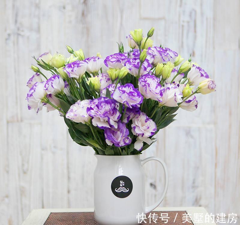 马蹄莲|4种花是婚礼常见花,随便选一种都好看,开了浪漫又唯美