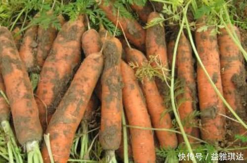 糖尿病患者|糖尿病患者的“福音”，饭后喝一杯，平稳血糖不升高，比胰岛素强