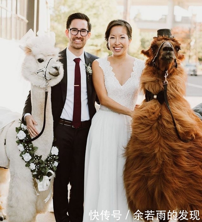 趣图:婚礼的时候一般会邀请什么人?嗯,草泥马伴娘没见过吧?