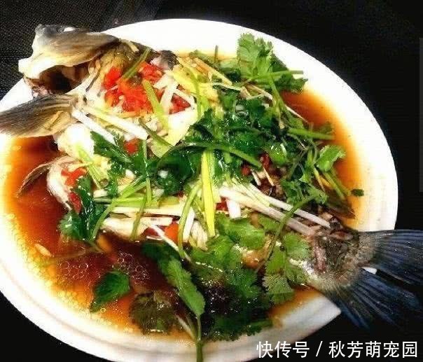  美味十足的几道家常菜，营养美味，口感好味道佳，你喜欢吃哪道菜