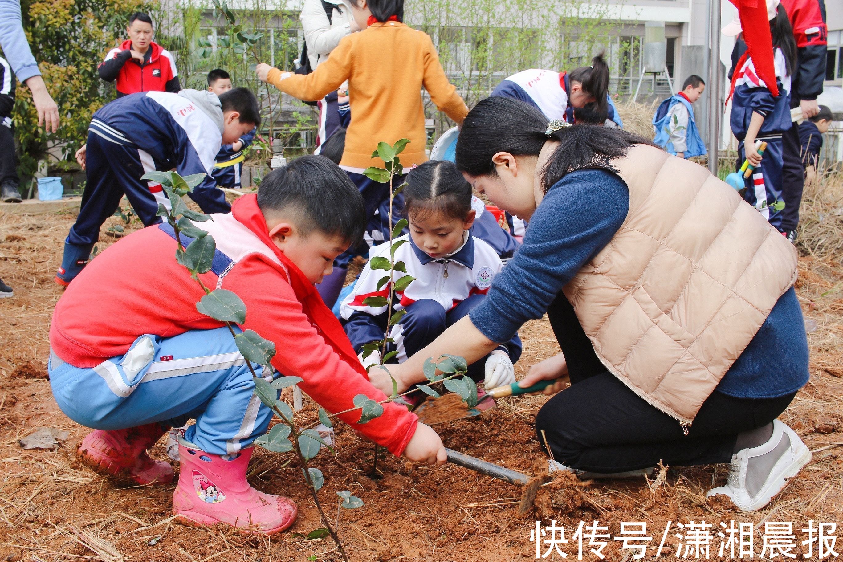 中南大学二附小李芹：与“熊孩子”共情，培养多情善良的学生|365个师德故事 | 男生