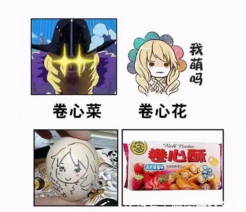 人面鸟|漫迷用同近义词和反义词理解《海贼王》,看完整个思路开阔了