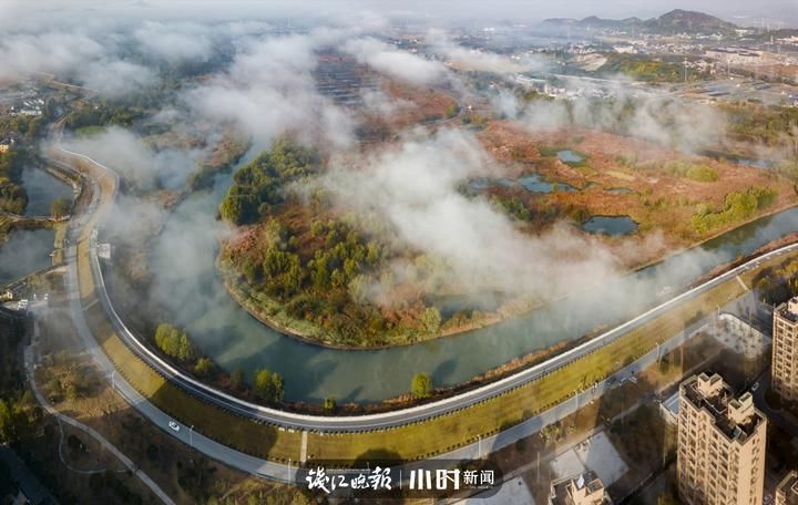 候鸟|吃茭白看芦花拍候鸟，余杭北湖的这个防汛泄洪区成了聚宝盆