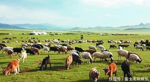 帮忙|蒙古国发生了什么?280万民众请求中国出手,表示只有中国能帮忙