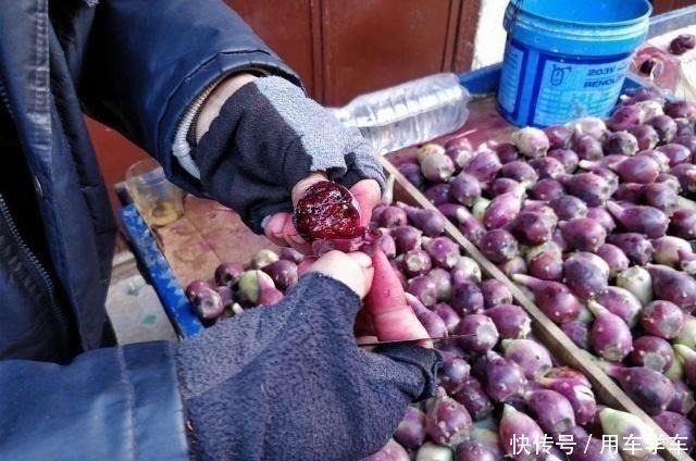 仙人掌|这野果在我国没人吃,在墨西哥却被培育成水果,进口到国内买高价!