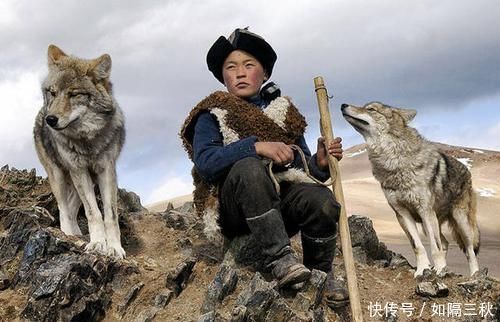 农村人说“狼怕一托,狗怕一摸”,这个说法有道理吗答案来了