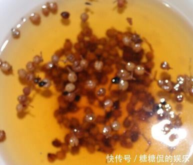 就可以|做羊肉饺子,别放太多调料!这4样就够了!肉馅嫩滑好吃无膻味