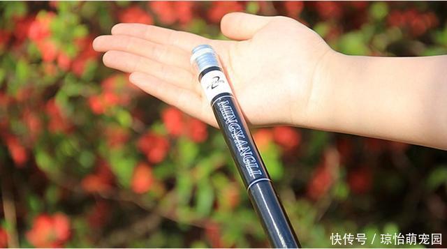 竿壁|几十元的鱼竿和几百元的鱼竿差距在哪?内行人士来告诉你答案