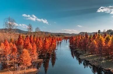 钱唐$白居易在船上睡懒觉,一首七律结构严谨,最后7字更道出心曲