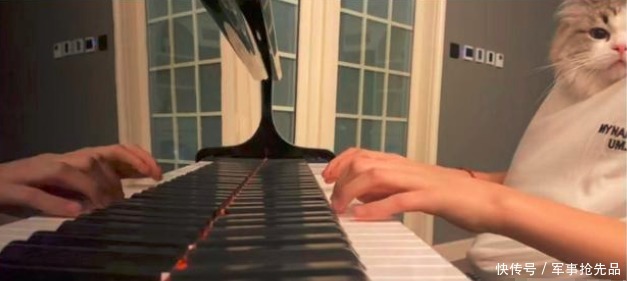 王岳伦|爸爸去哪儿天团近况悬殊:郭涛被骂,张亮''失业'',田亮人生赢家