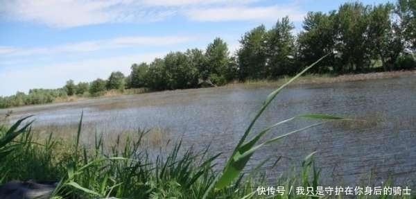 发现无人野塘,用了这个饵料,意外钓获十七斤大鲫鱼