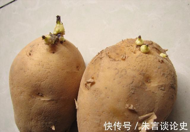 存放|馒头存放冰箱,超过3天,会产生黄曲霉毒素吗?今天告诉你真相