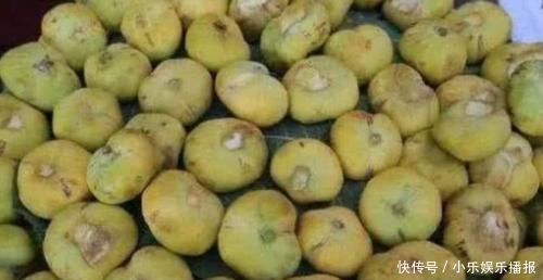 补血|女性推荐常吃3种食物,补血养颜、延缓衰老,谁吃谁受益!